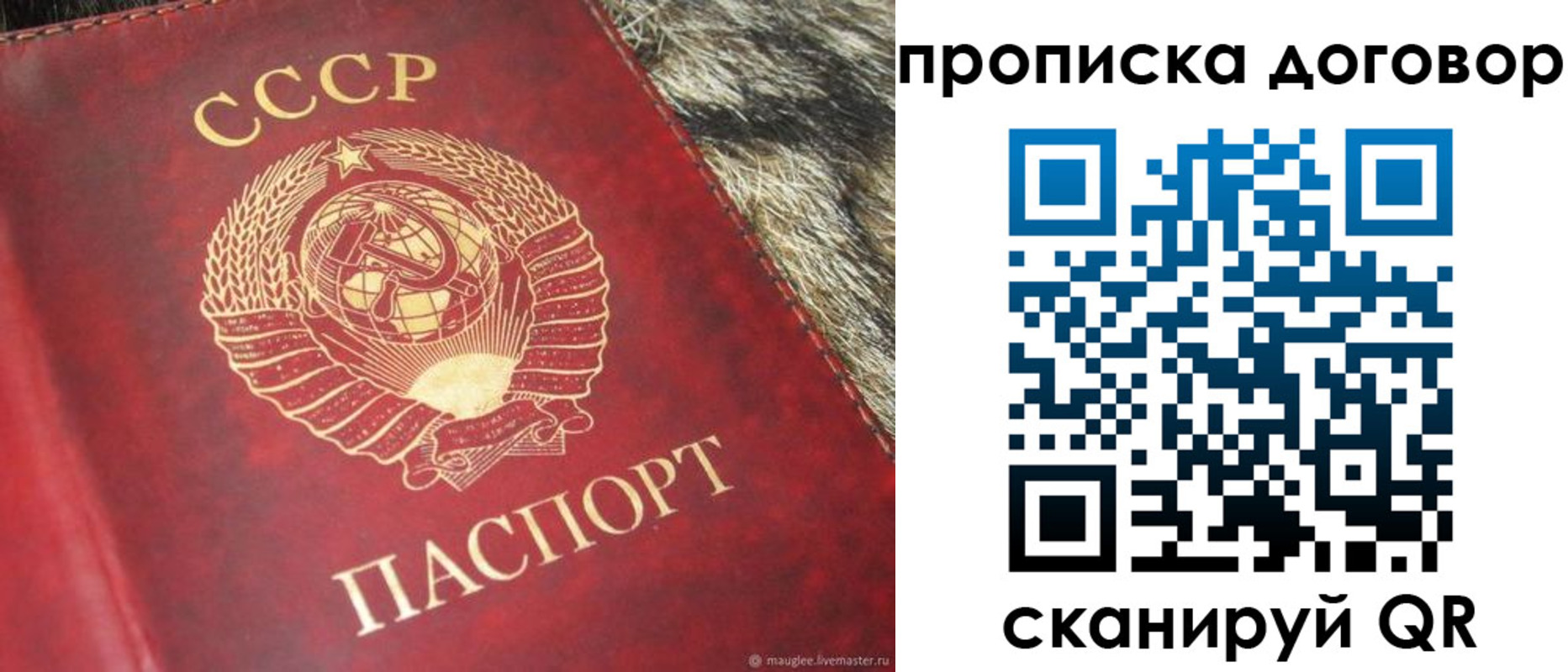 временная регистрация надежно в Жуковском